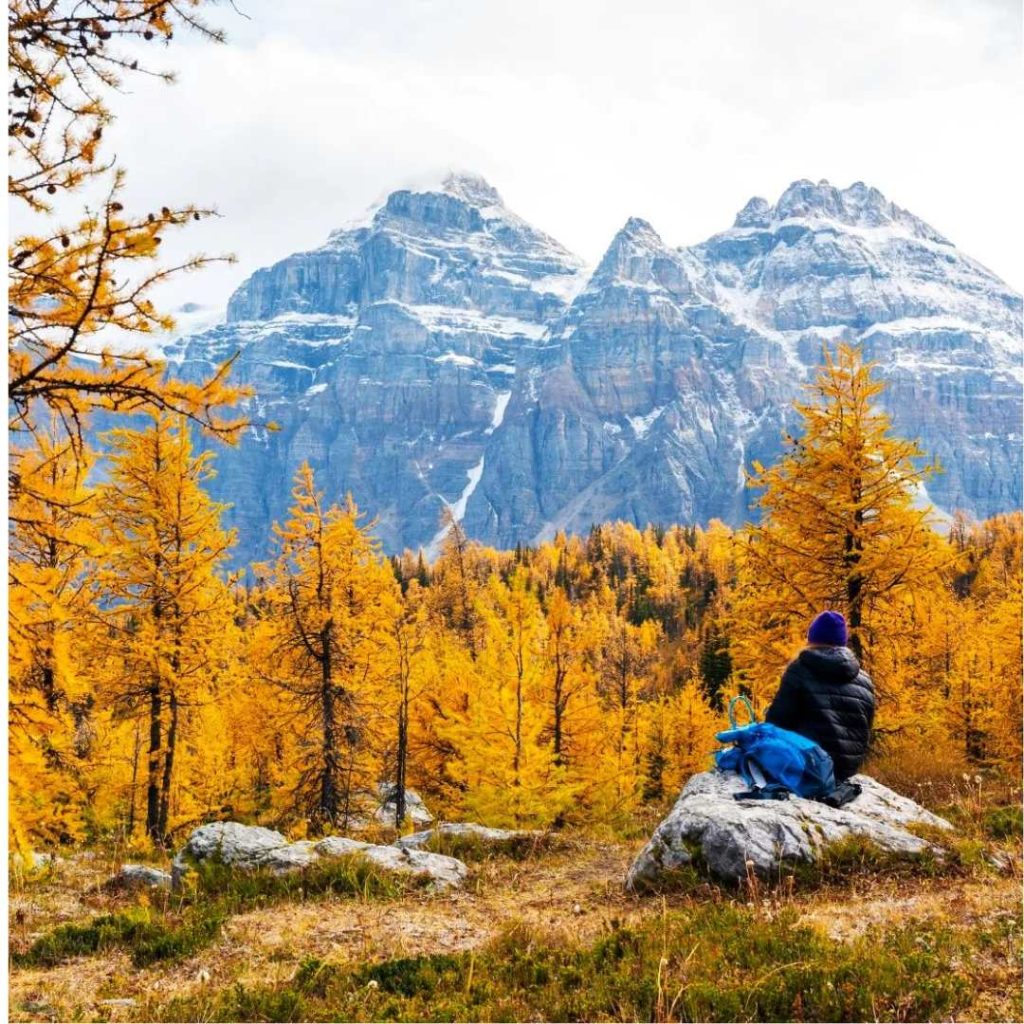 larch-valley-transportation