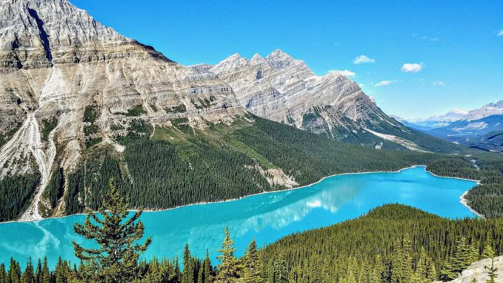 summer-tour-columbia-icefield