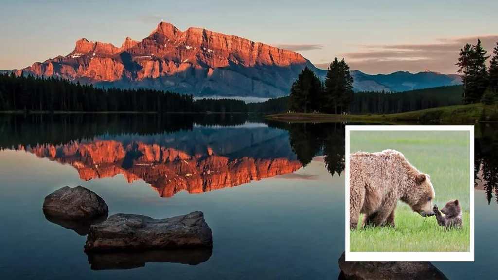 summer-tour-twojack-lake-minnewanka