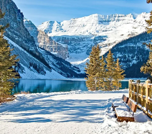 transfer-calgary-lakelouise-transit-van